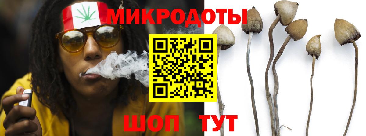 Псилоцибиновые грибы прущие грибы  Вход с VPN  Наро-Фоминск 